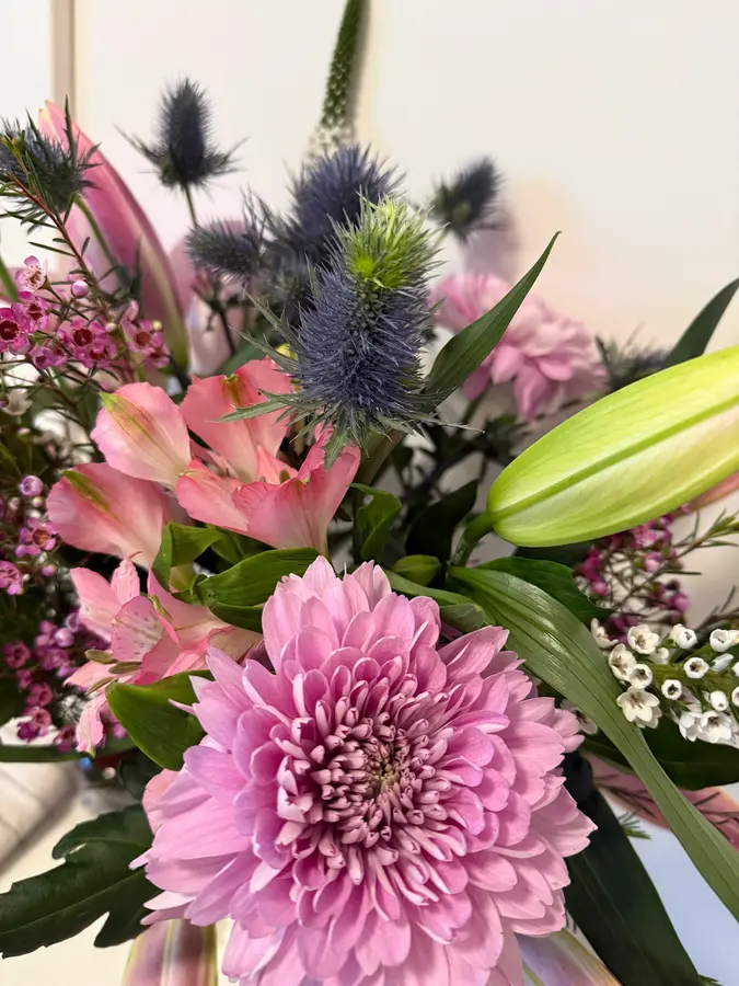 Nahaufnahme: rosa Chrysantheme, Alstroemerien und Edeldisteln
