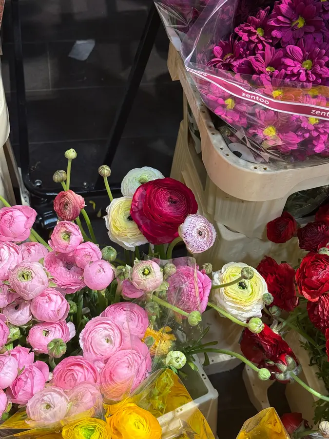Rosa und weiße Ranunkeln im Laden